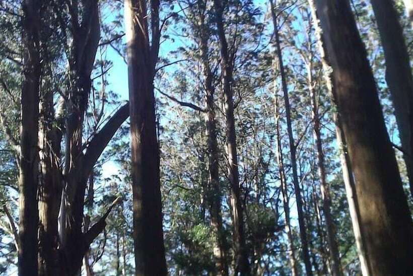 ホテル Annie Roe's Luxury Bed & Breakfast