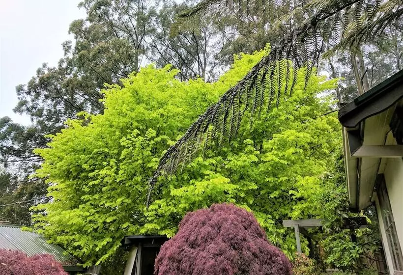 Hotelli Annie Roe's Luxury Bed & Breakfast