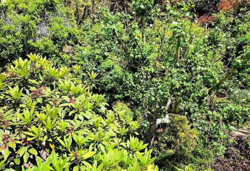 ホテル Annie Roe's Luxury Bed & Breakfast