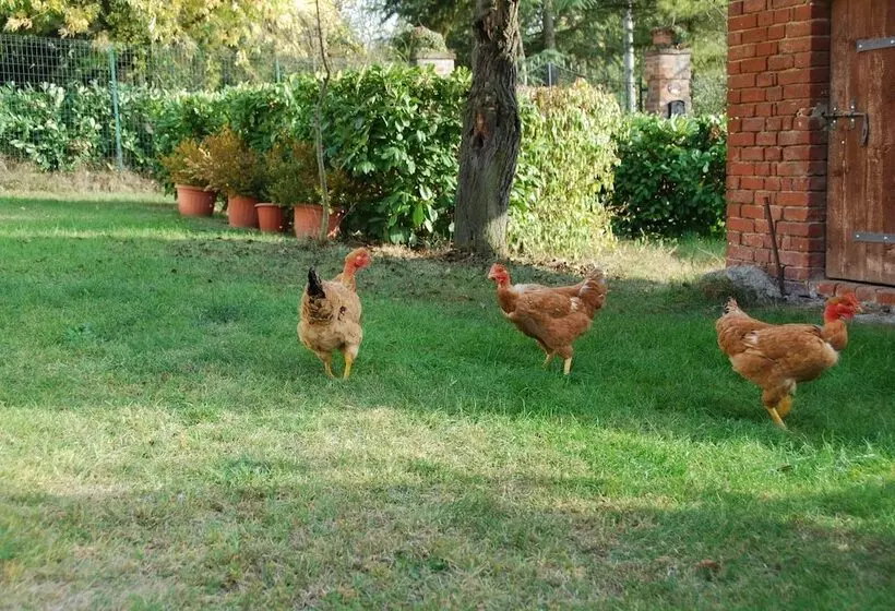 هتل B&b Cascina Bricchetto