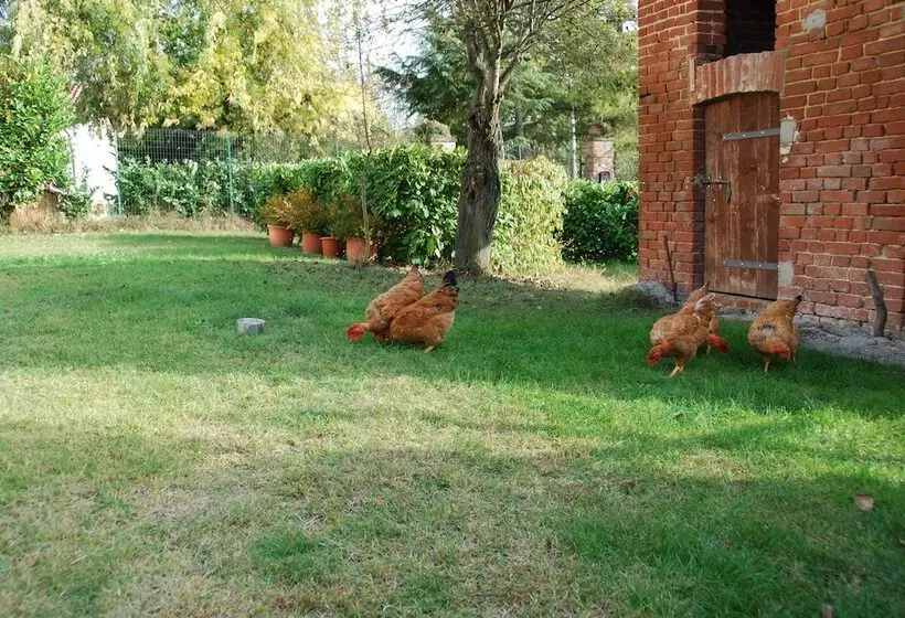 هتل B&b Cascina Bricchetto