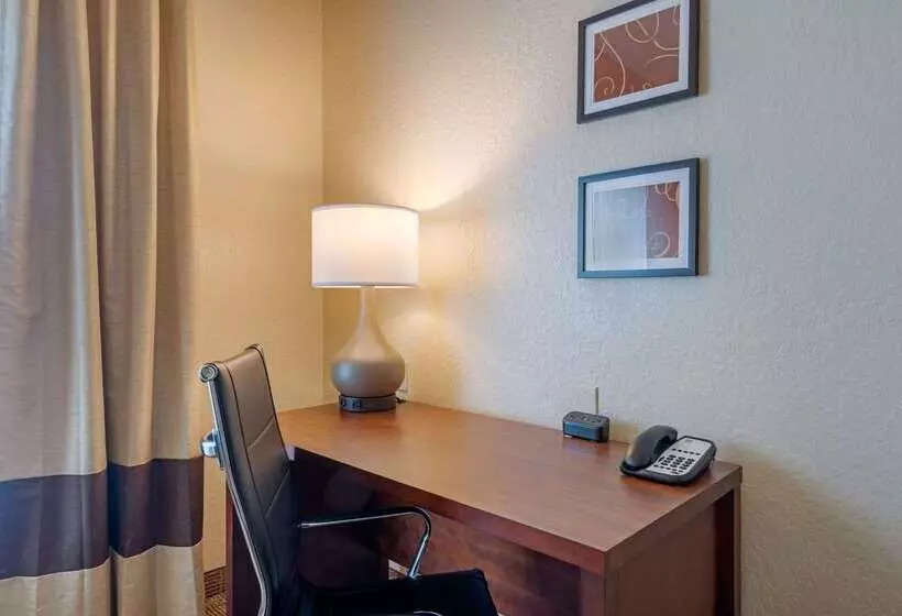 هتل Comfort Suites Downtown