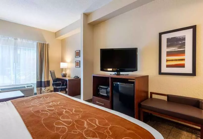هتل Comfort Suites Downtown