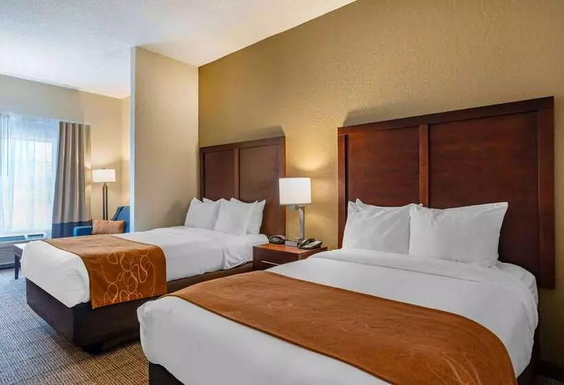 هتل Comfort Suites Downtown