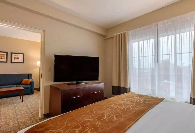هتل Comfort Suites Downtown
