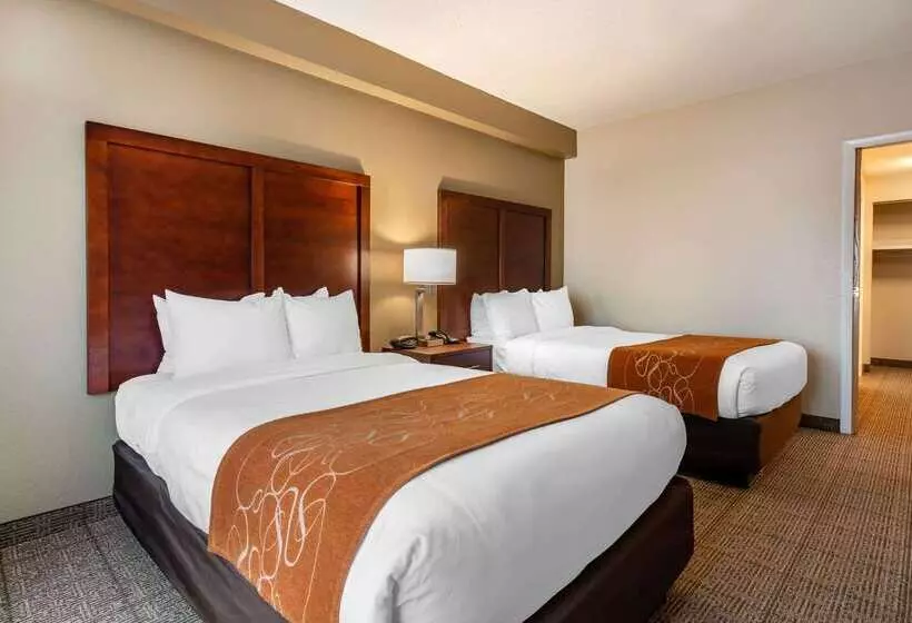 هتل Comfort Suites Downtown