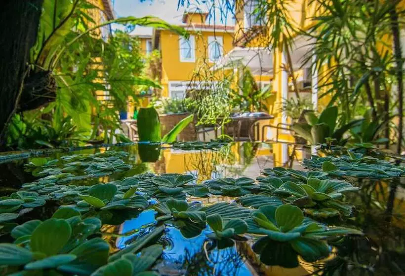 Hotel La Chimere Buzios Essence