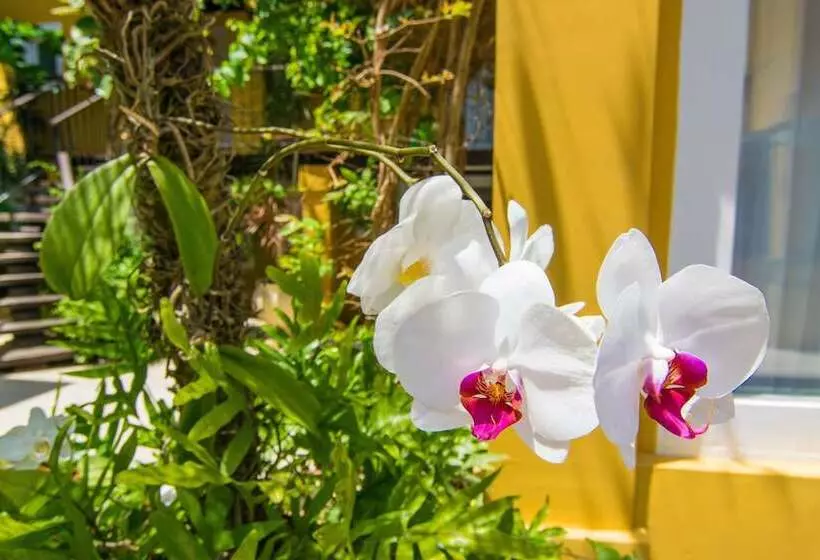 Hotel La Chimere Buzios Essence