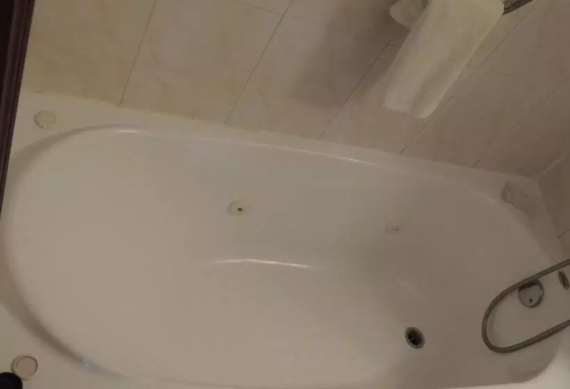 בית מלון כפרי La Foret