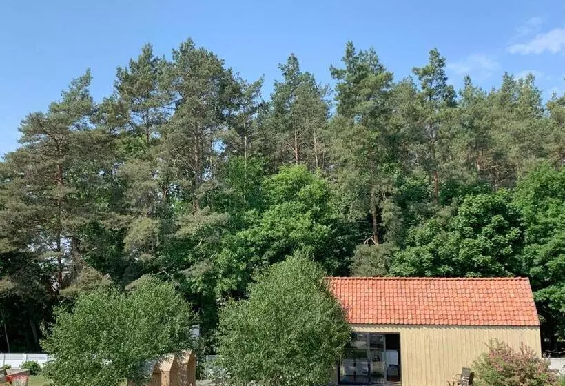 Aamiaismajoitus (B&B) Barcelona Rooms