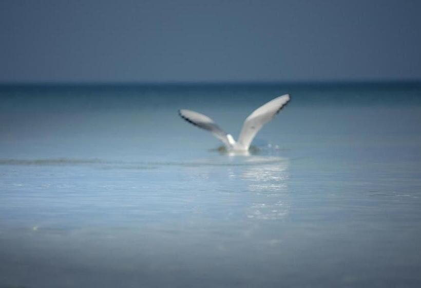 ベッドアンドブレックファースト Barcelona Rooms