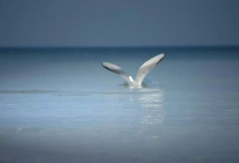 Aamiaismajoitus (B&B) Barcelona Rooms