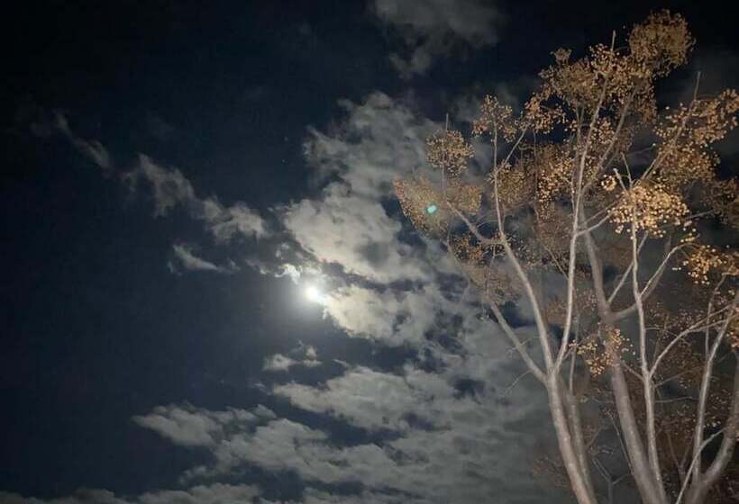 بنسيون Safa Boulaouane Eco Lodge