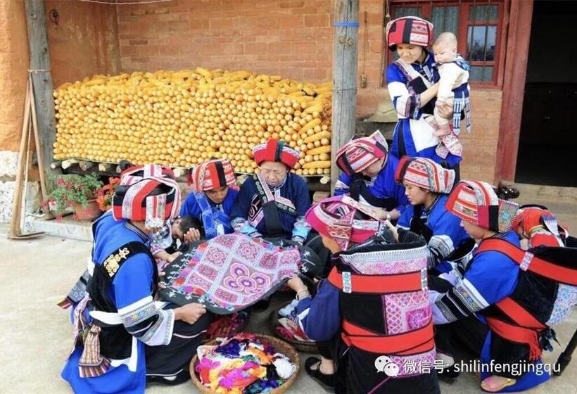 بنسيون Stone Forest Mijia Guest House