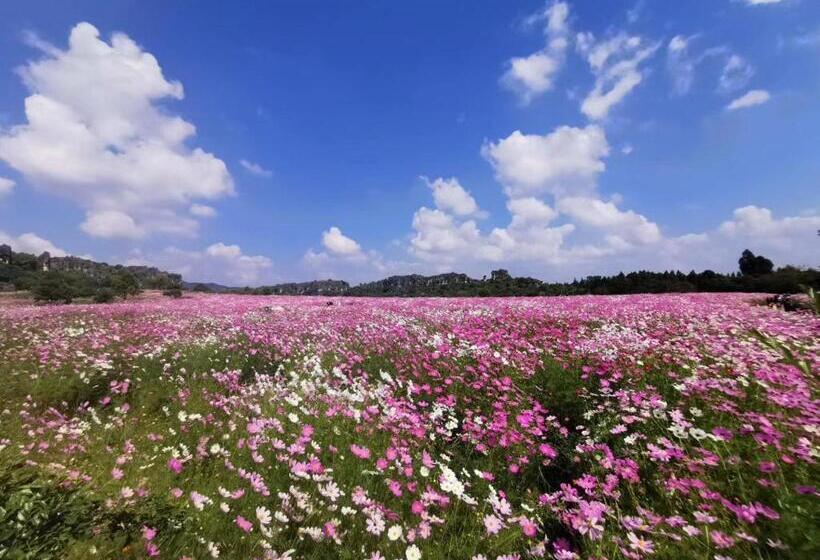 بنسيون Stone Forest Mijia Guest House