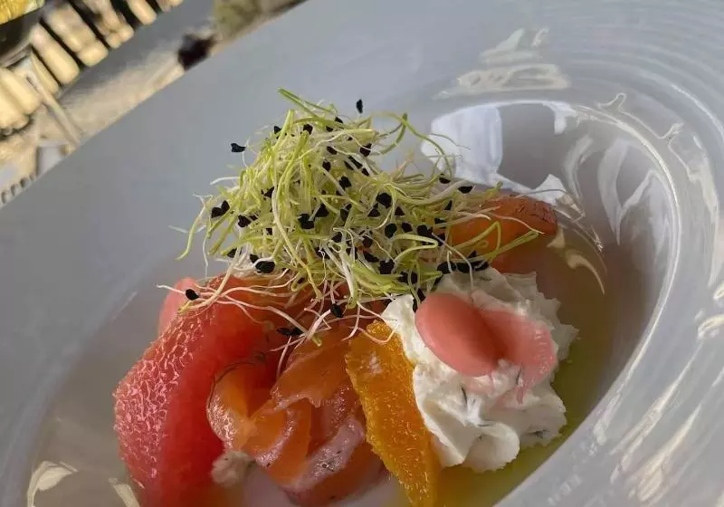 Отель Château Fleur De Roques   Puisseguin Saint Emilion