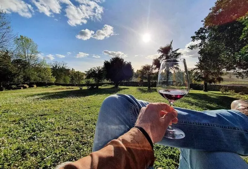 Отель Château Fleur De Roques   Puisseguin Saint Emilion