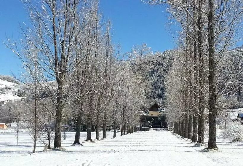 فندق Le Vieux Tilleul