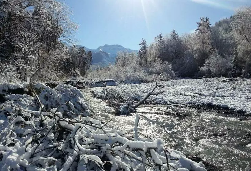 فندق Le Vieux Tilleul