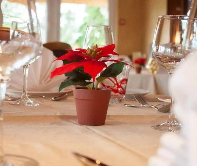 בית מלון כפרי Relais Vosgien   Hôtel Restaurant La Table De Sophia