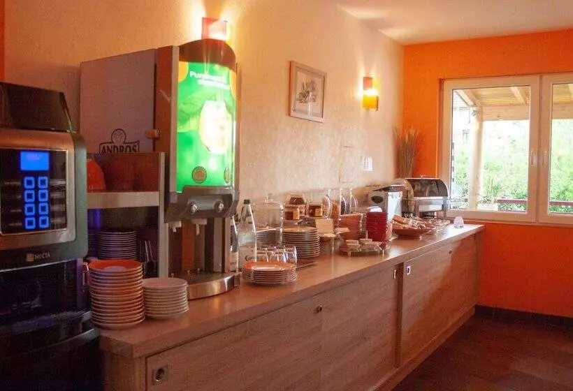 בית מלון כפרי Relais Vosgien   Hôtel Restaurant La Table De Sophia