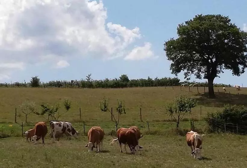 Maaseutuhotelli Valle Del Poggio
