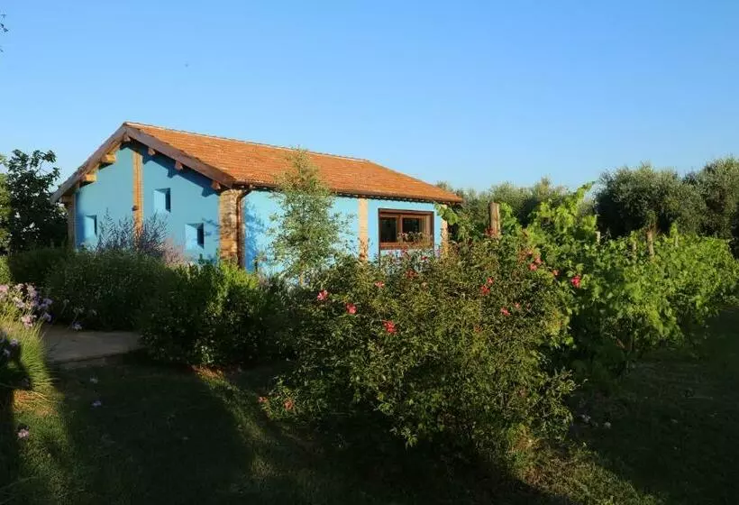 Aamiaismajoitus (B&B) Casa Maria