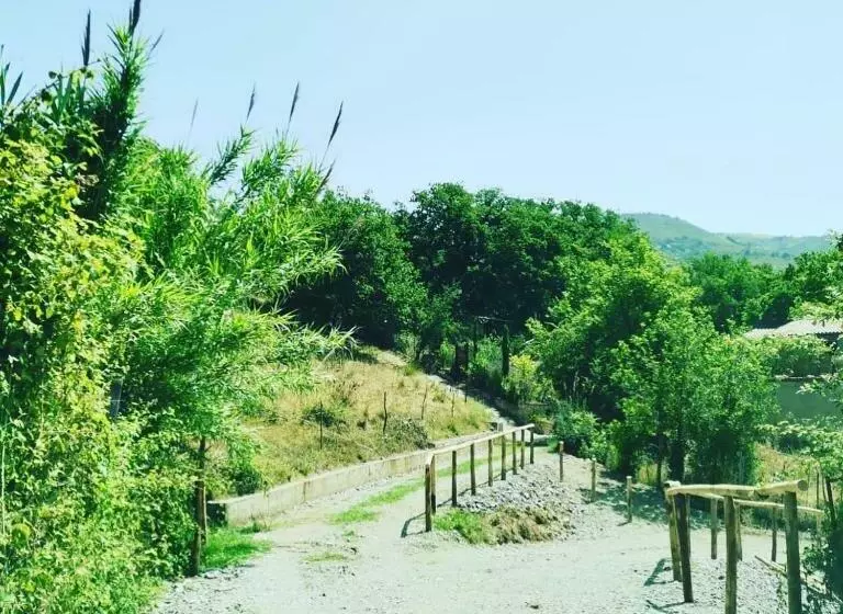 تختخواب و صبحانه Casaletto La Volpara