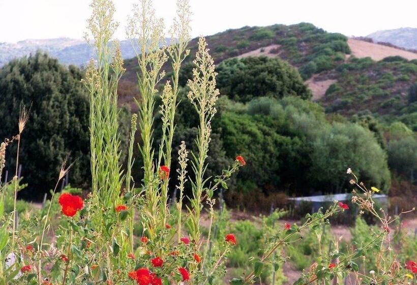 Nocleg ze śniadaniem Locanda In Vigna