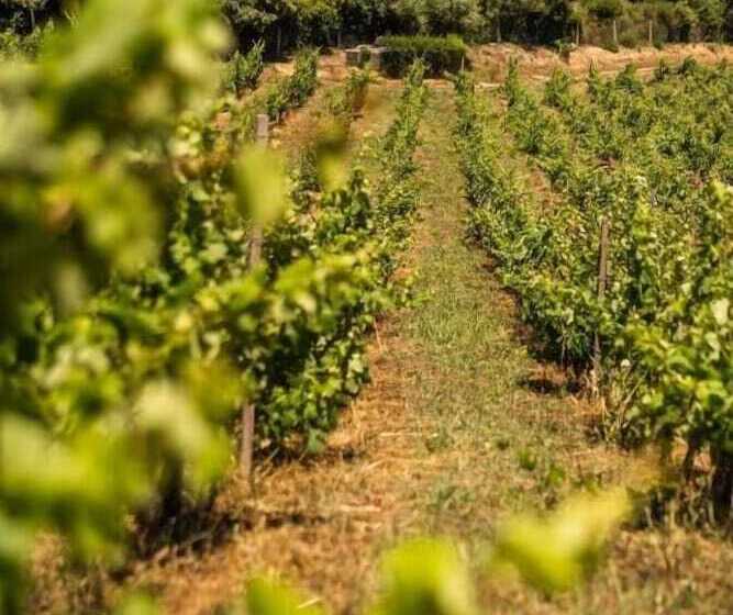 Nocleg ze śniadaniem Locanda In Vigna