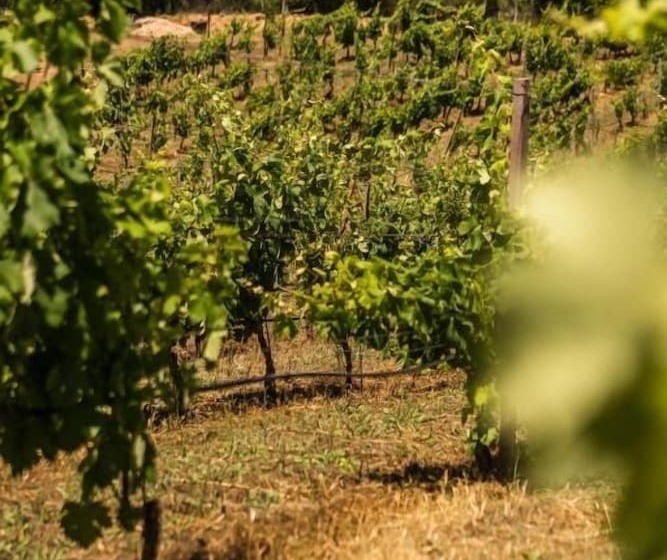 Nocleg ze śniadaniem Locanda In Vigna