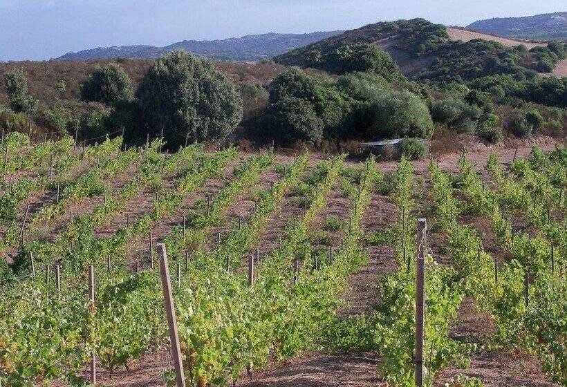 Nocleg ze śniadaniem Locanda In Vigna