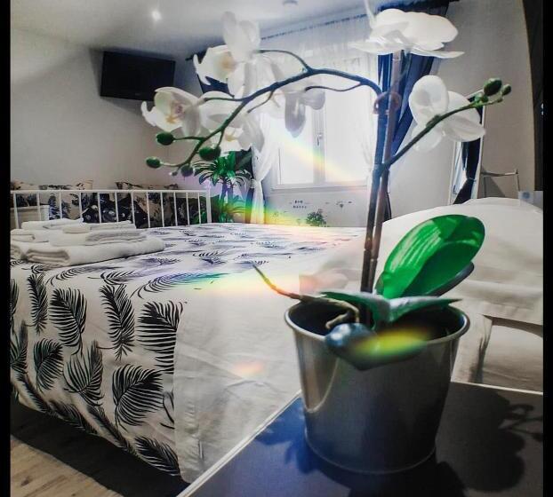 تختخواب و صبحانه Dante S House Affittacamere