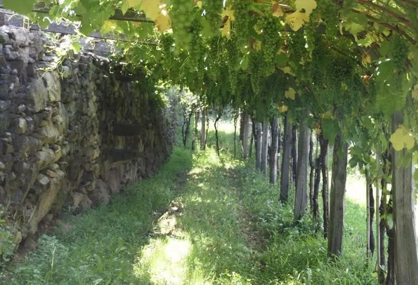 Aamiaismajoitus (B&B) Relais Del Brigante