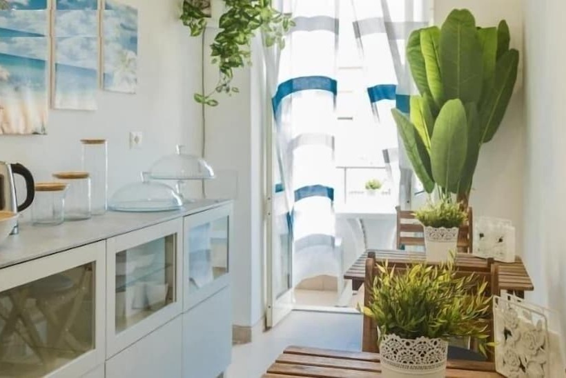 مبيت وإفطار River View