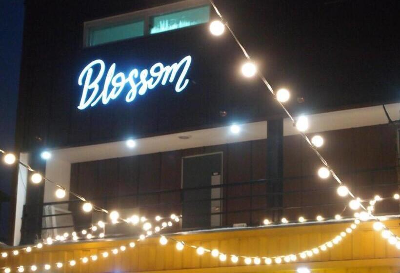 Blossom Pension