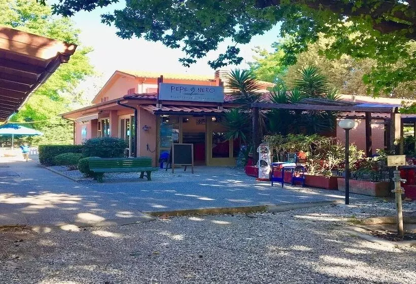 هتل Greenchalets Ameglia   Campsite