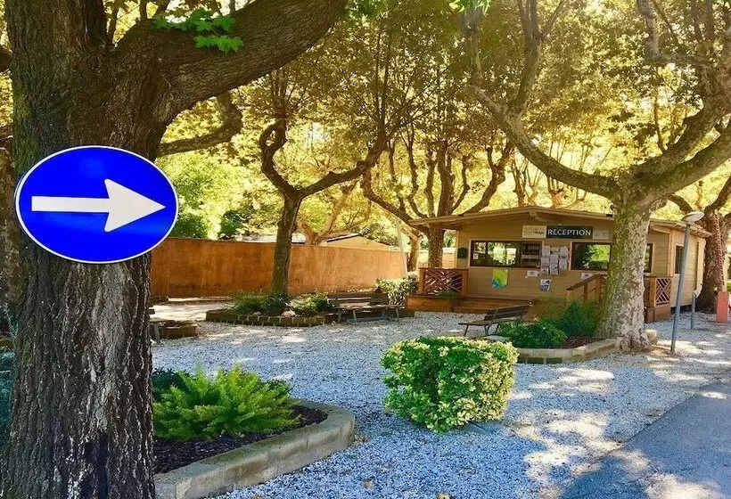 هتل Greenchalets Ameglia   Campsite