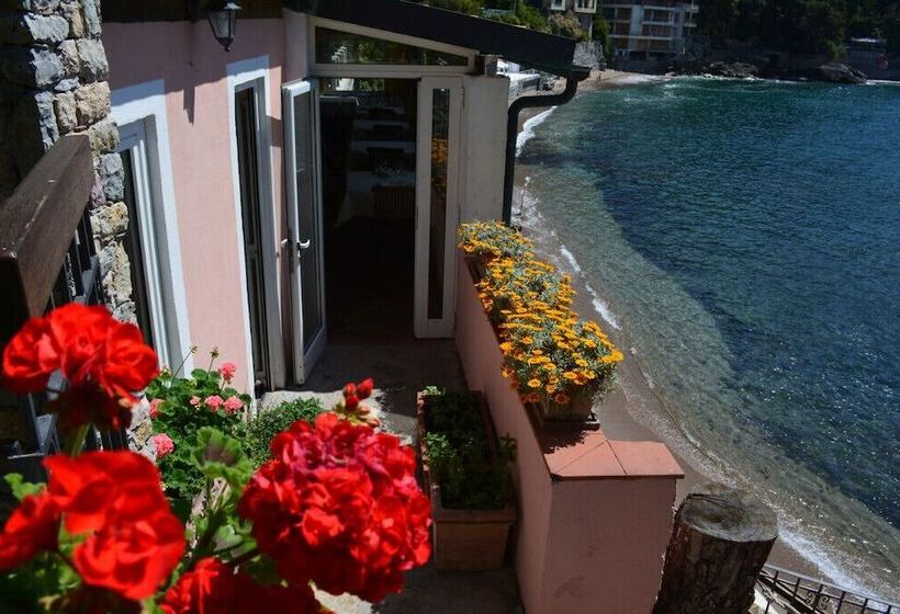 בית מלון כפרי Locanda Il Senatore