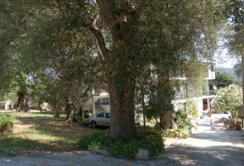 Il Moro Della Molpa