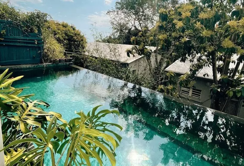 پانسیون Le Jardin De Ravintsara   Adults Only