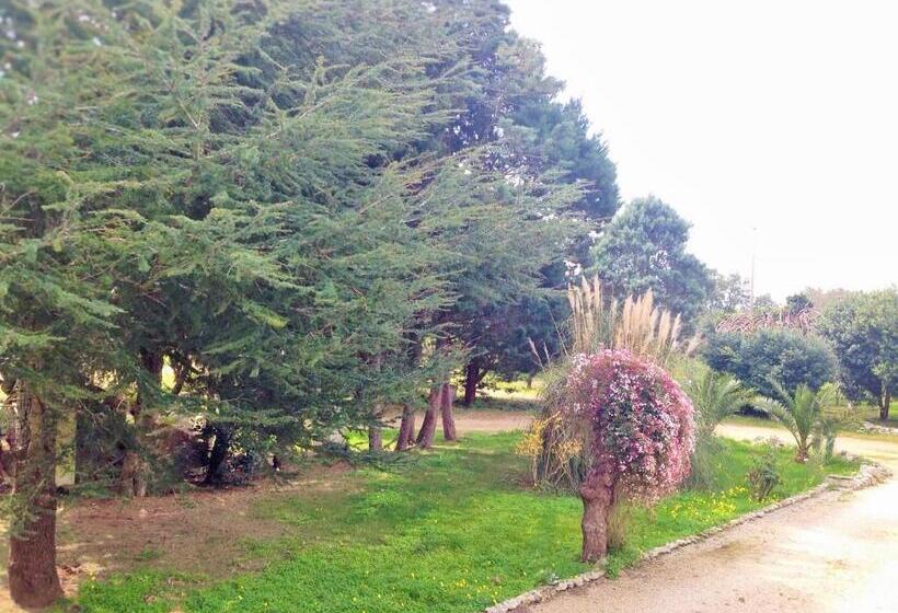 مبيت وإفطار La Macchia