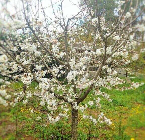 مبيت وإفطار La Macchia