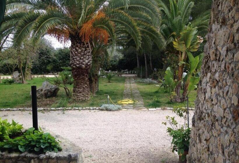 مبيت وإفطار La Macchia