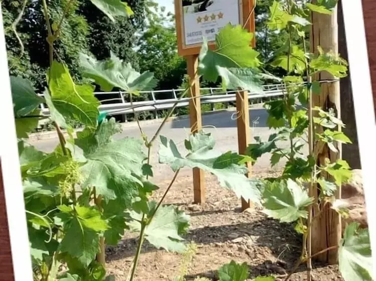 B&b Le Strade Del Gavi