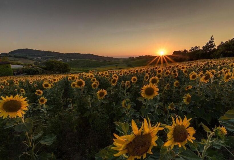 B&b Le Strade Del Gavi