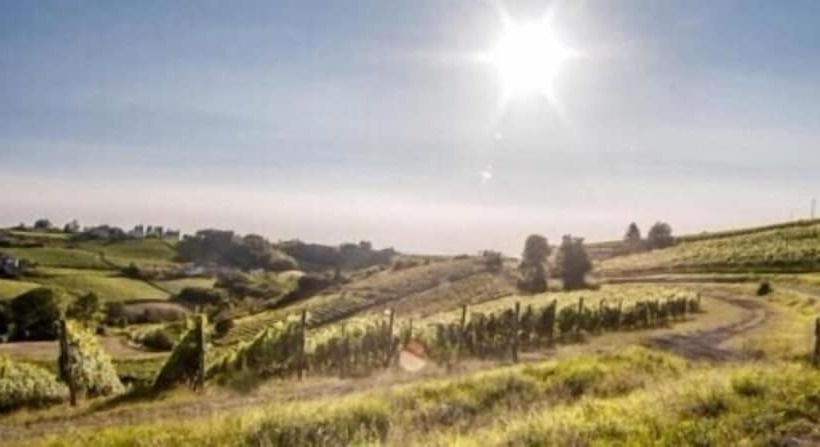 B&b Le Strade Del Gavi