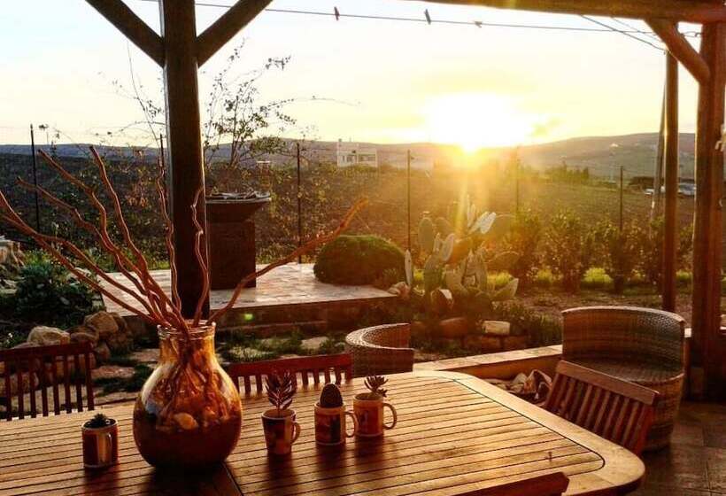 B&b Polvere Di Stelle