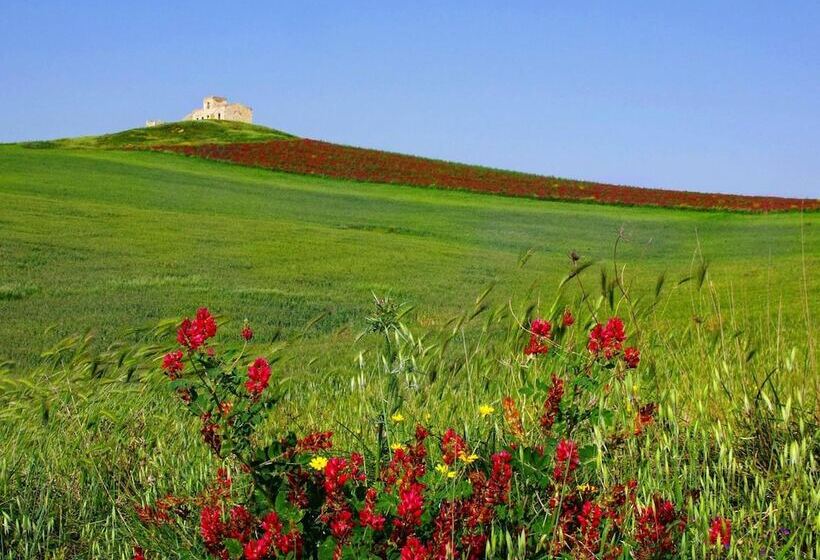 B&b Polvere Di Stelle