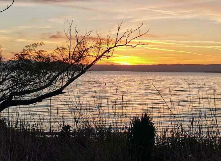 ベッドアンドブレックファースト Antico Casale Dei Mercanti